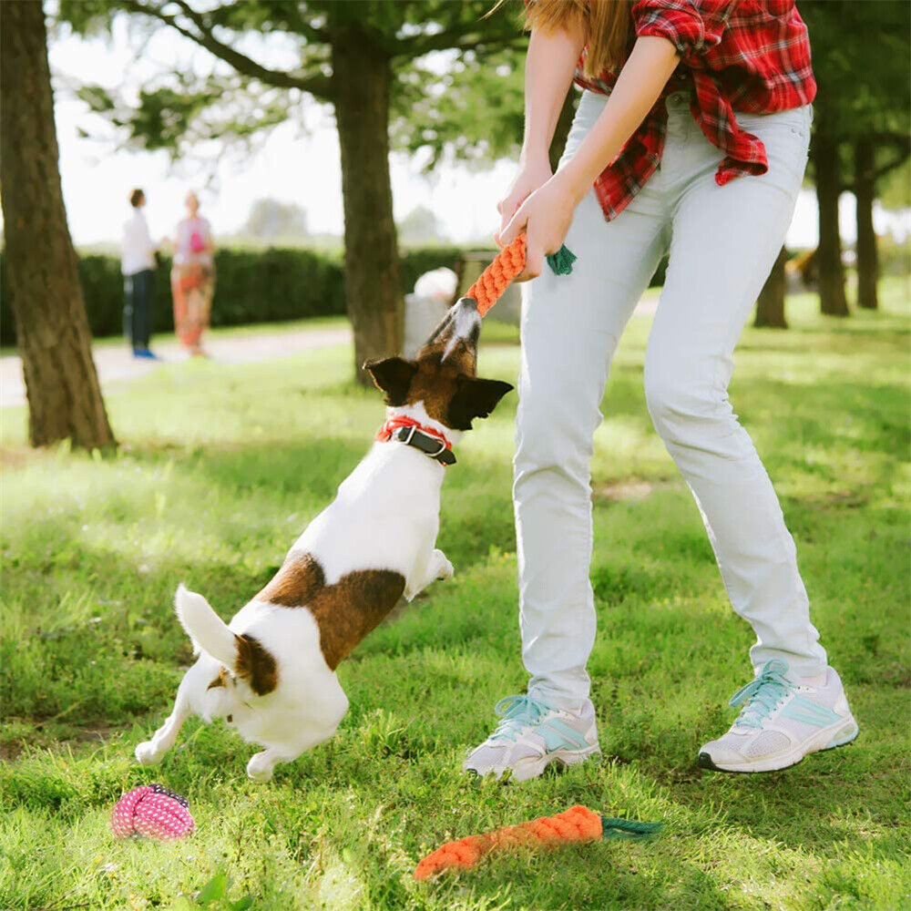 10PC Dog Braided Rope Toys