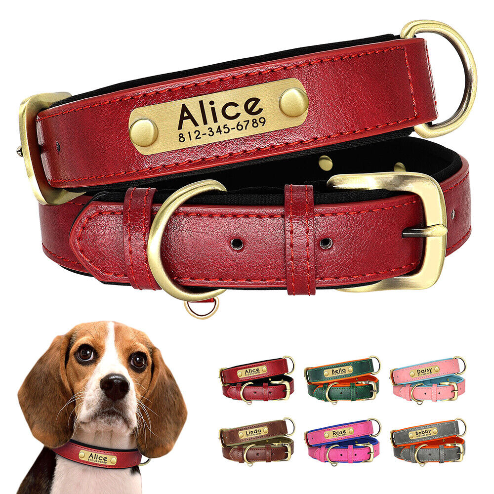 Leather Personalised Dog Collar with Custom ID Name