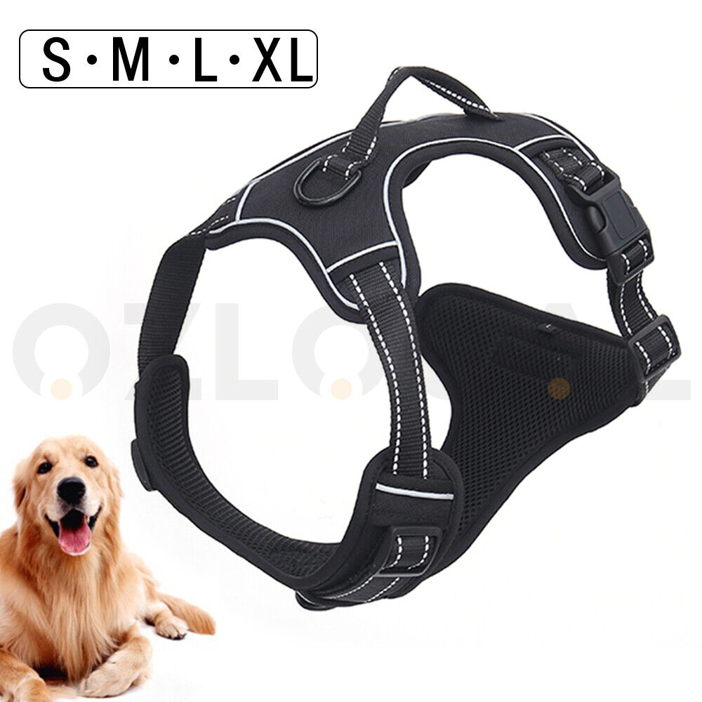 Fur Ever Dog Harness