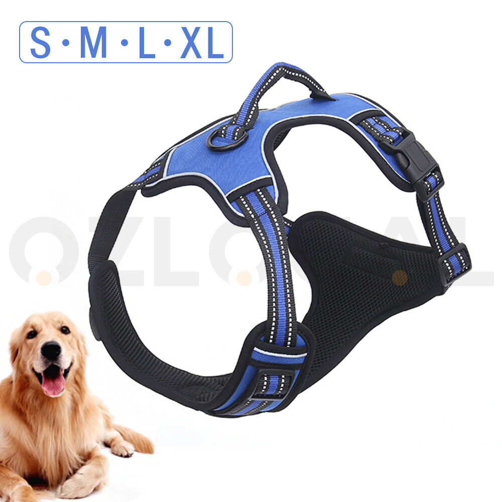 Fur Ever Dog Harness