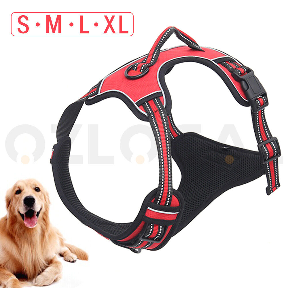 Fur Ever Dog Harness