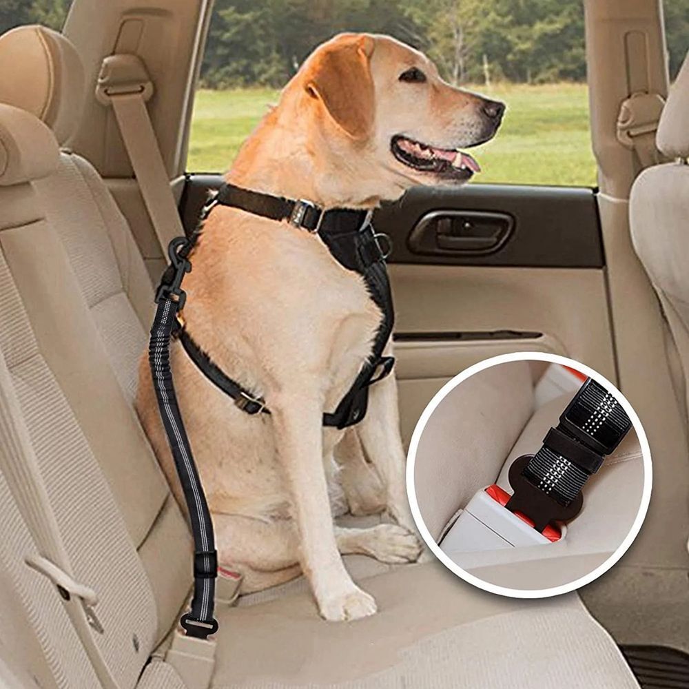 Reflective Cushioning Dog Seat belt