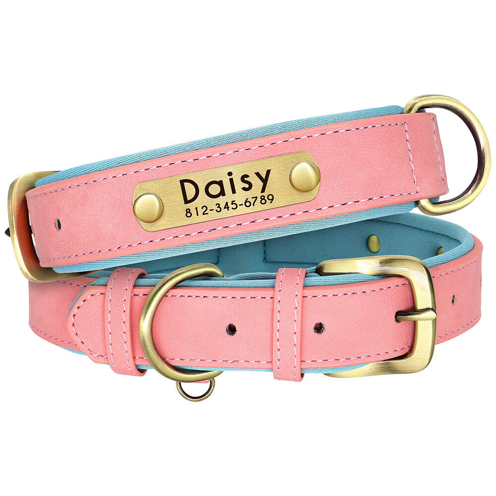 Leather Personalised Dog Collar with Custom ID Name