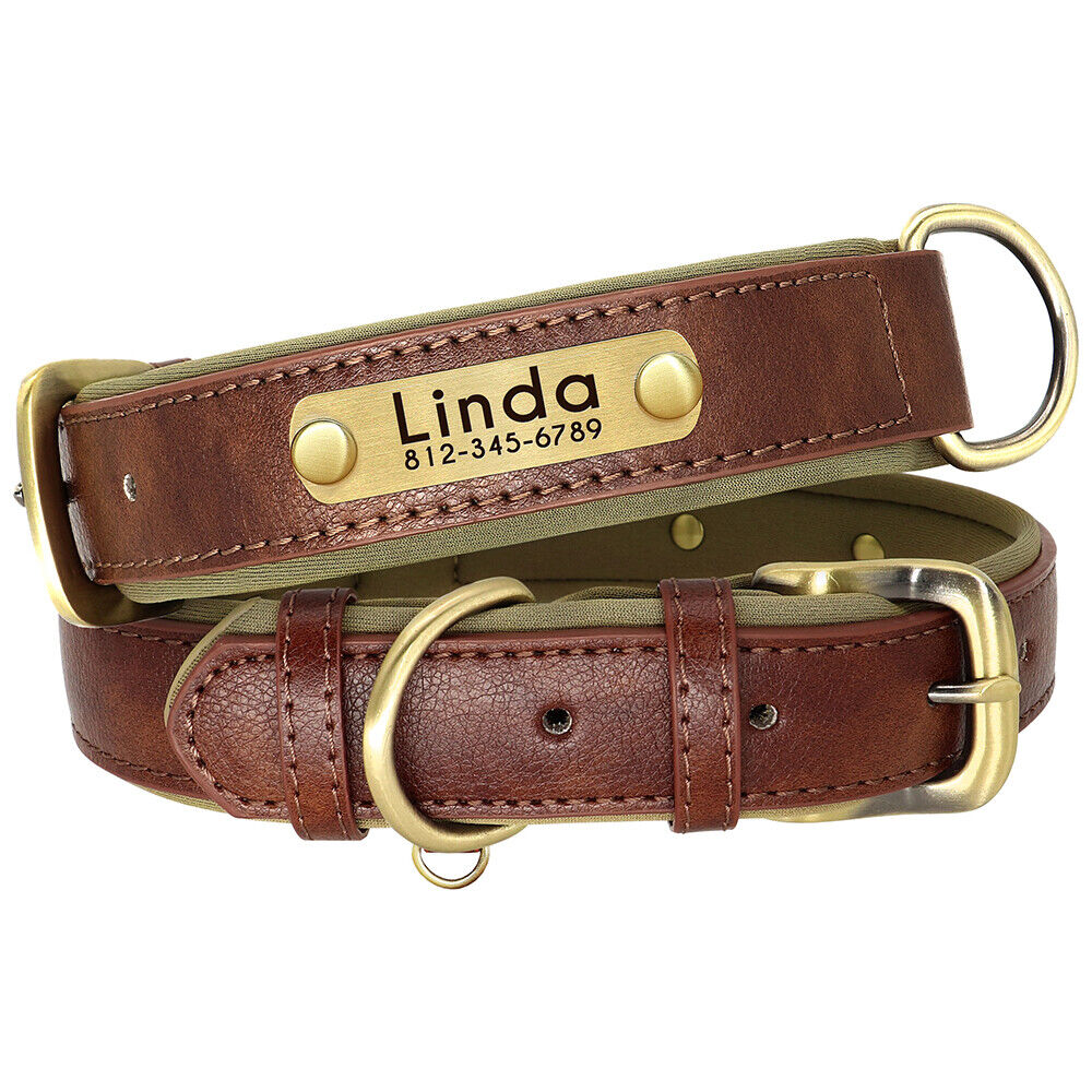 Leather Personalised Dog Collar with Custom ID Name