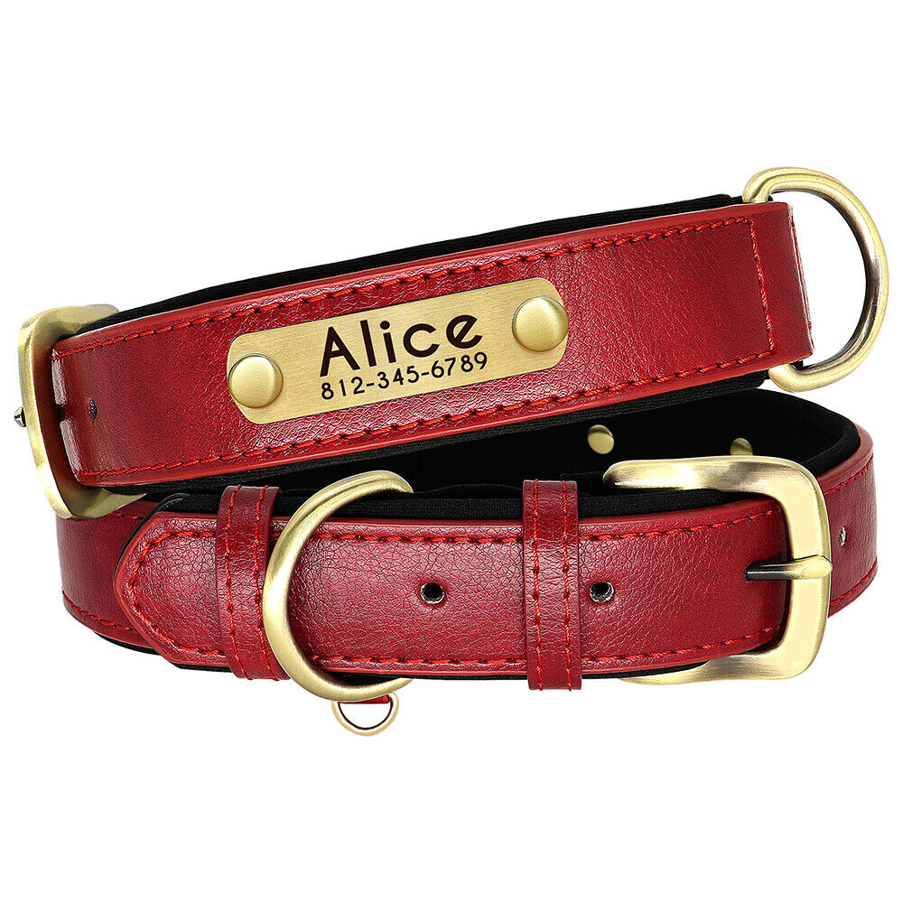 Leather Personalised Dog Collar with Custom ID Name