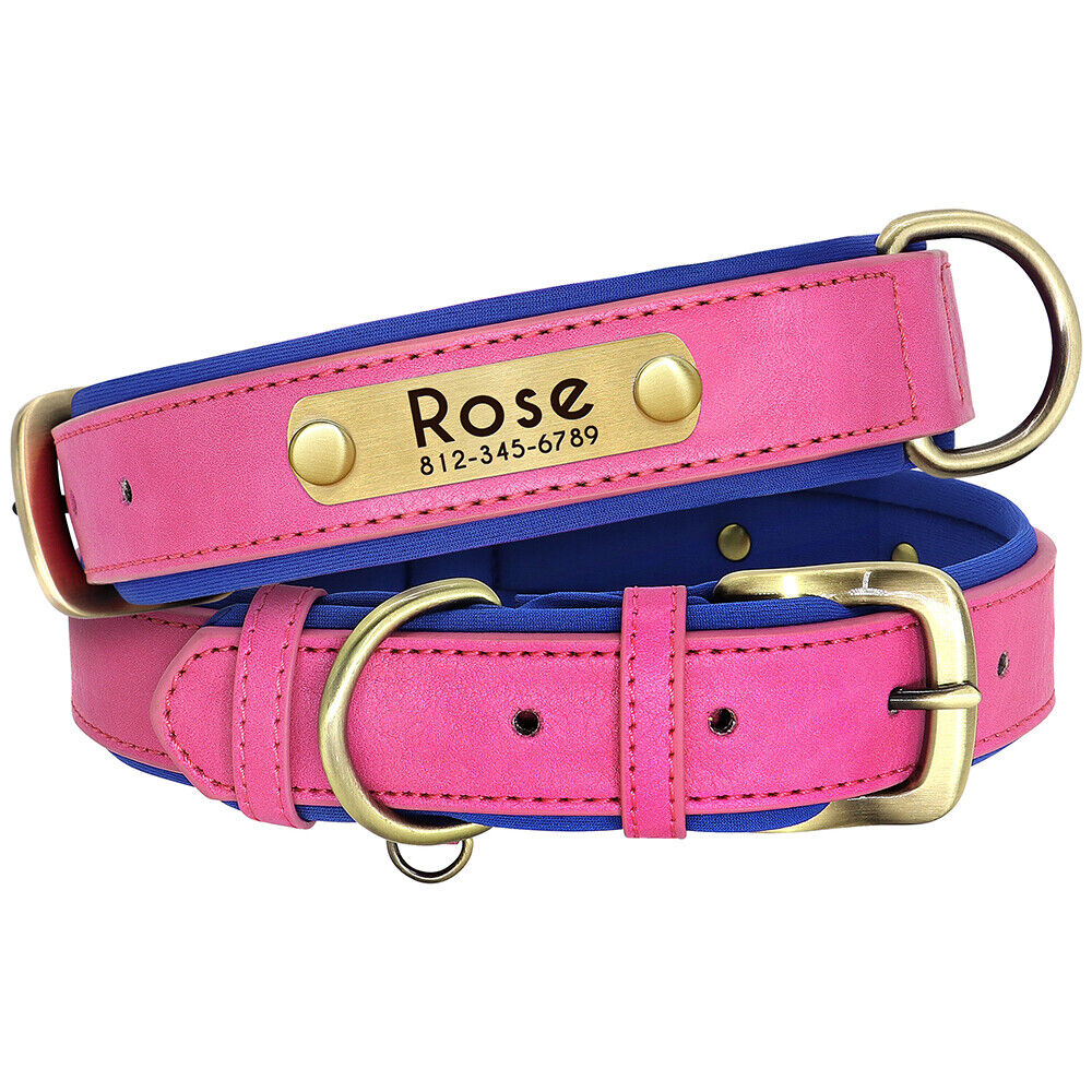 Leather Personalised Dog Collar with Custom ID Name