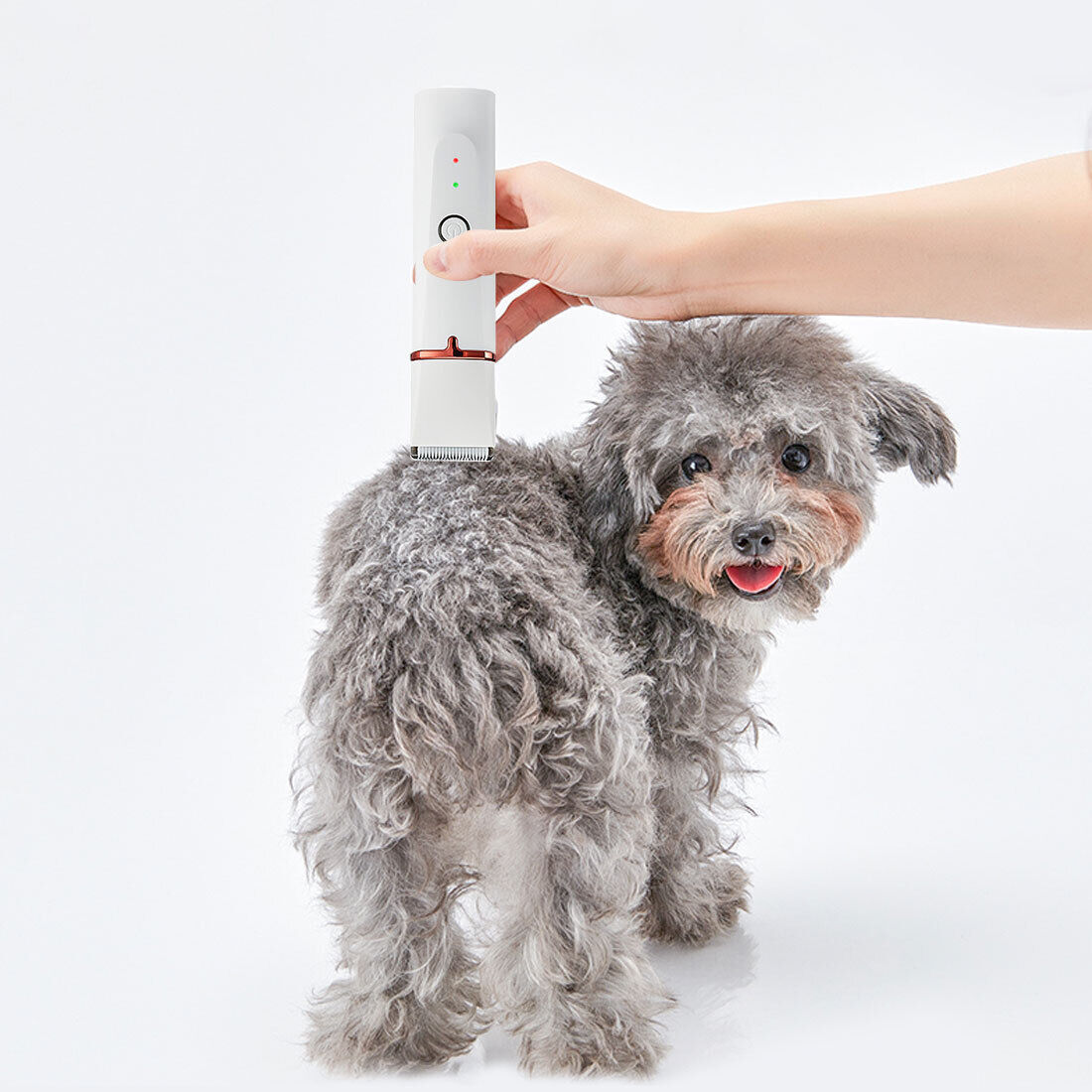 Pet Hair Electric Clipper/Trimmer