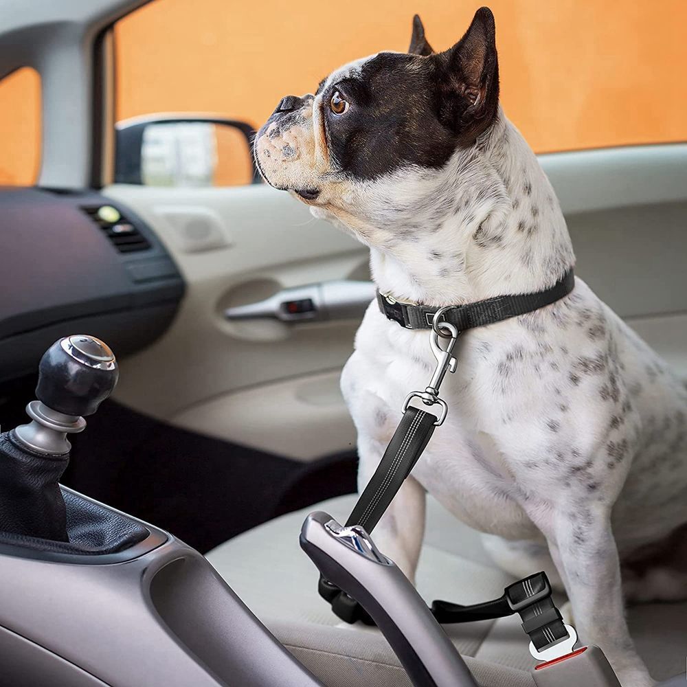 Reflective Cushioning Dog Seat belt