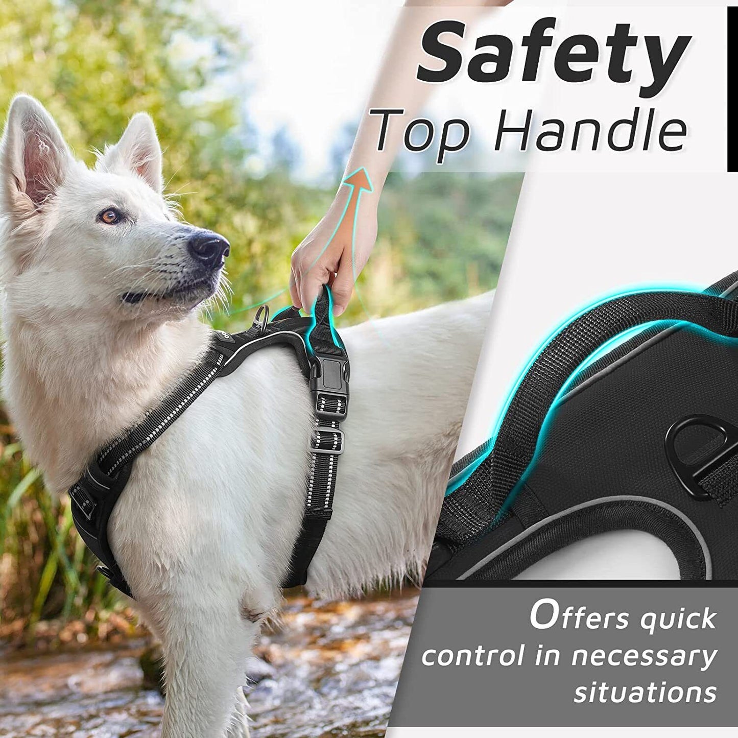 Fur Ever Dog Harness