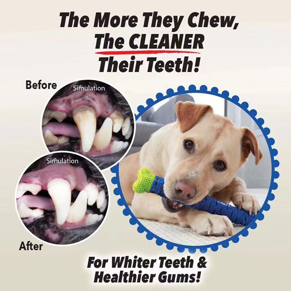 Dog Mouth Chew Toy