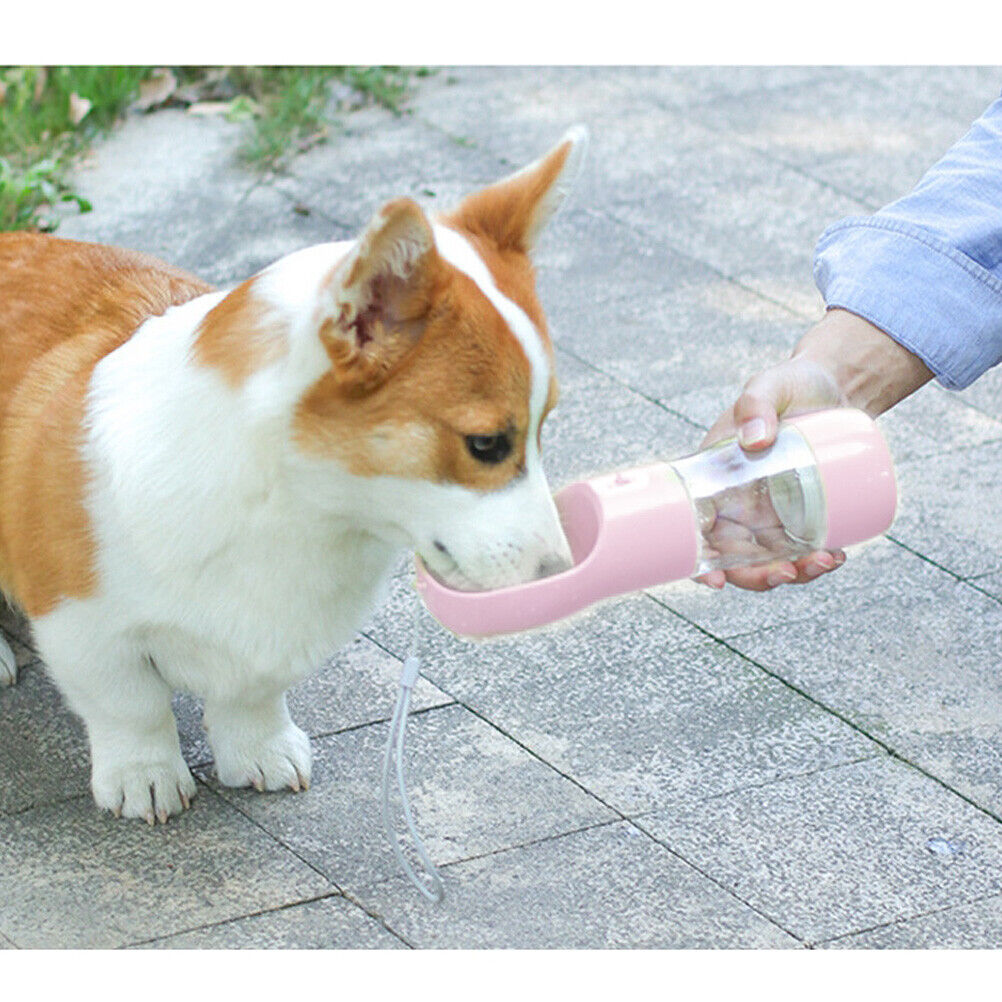 Dog Water Bottle with Carabiner Drinking Cup and Portable Feeder