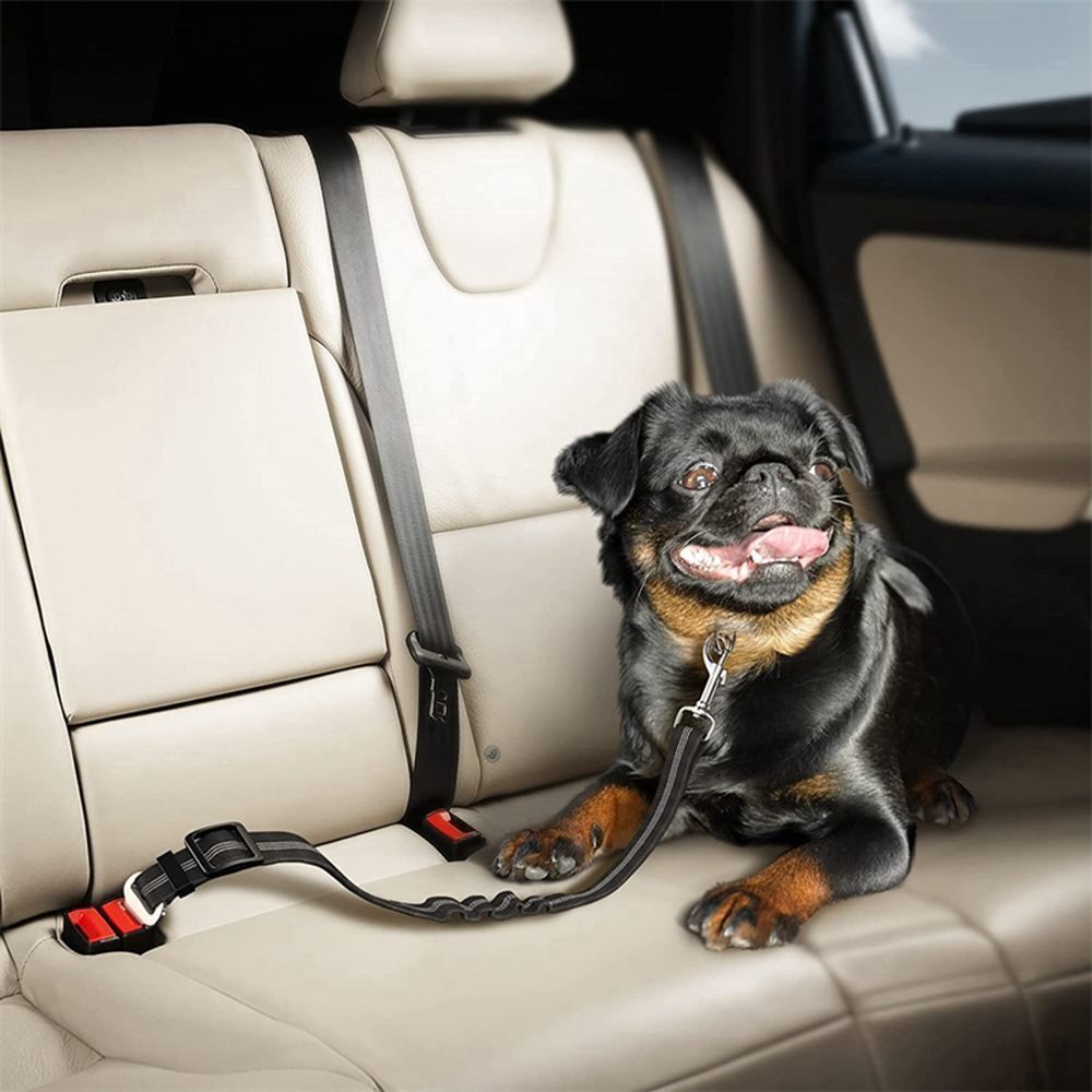 Reflective Cushioning Dog Seat belt