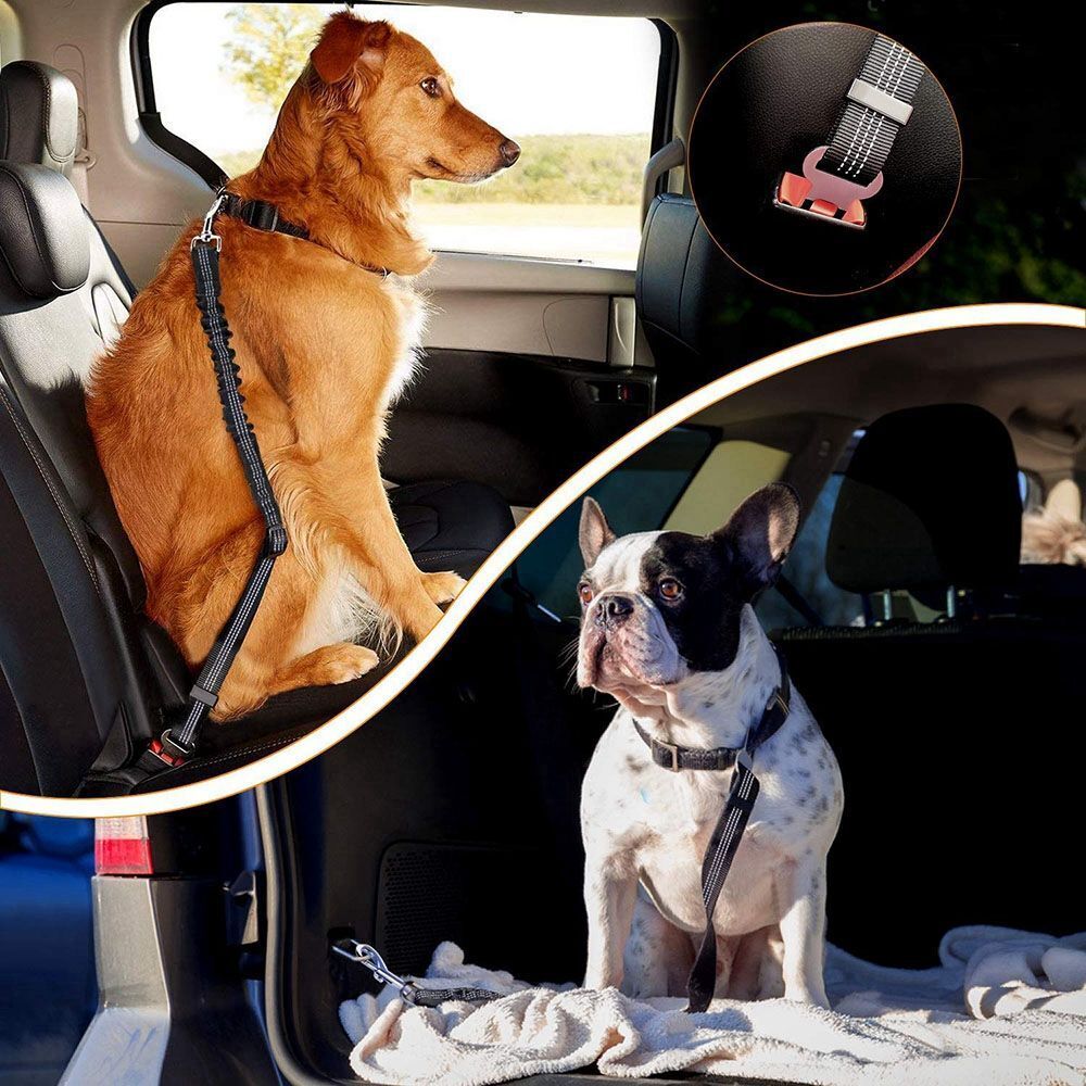 Reflective Cushioning Dog Seat belt