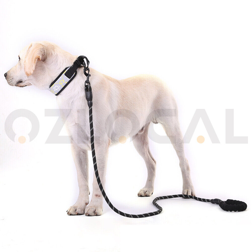 Heavy Duty Pet Walking Leash with Padded Handle