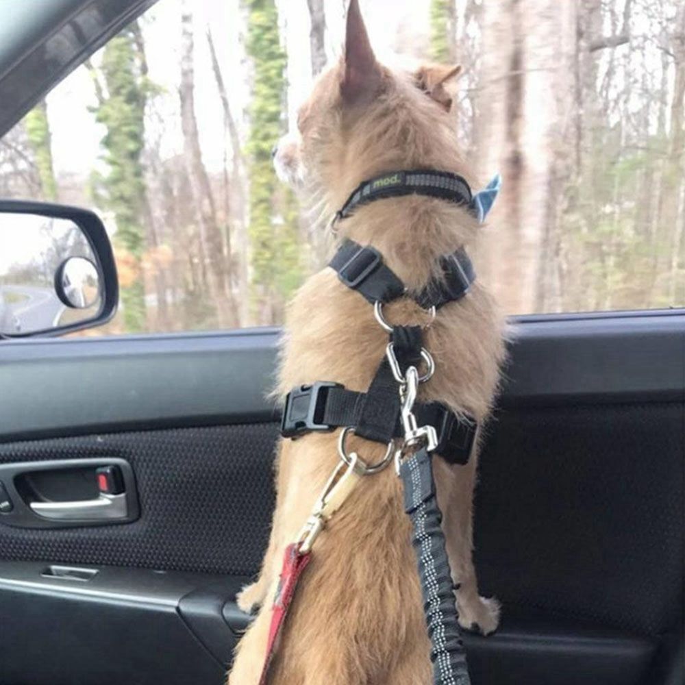 Reflective Cushioning Dog Seat belt