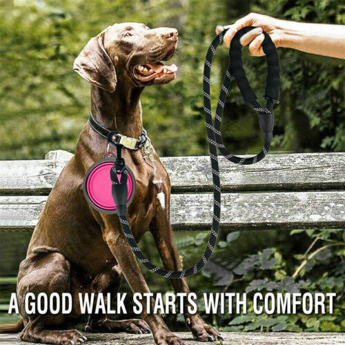 Heavy Duty Pet Walking Leash with Padded Handle