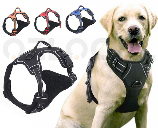 Fur Ever Dog Harness